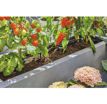 Bewässerungsset GARDENA Micro-Drip Start Set Terrasse (für bis zu 30 Topfpflanzen)-thumb-8