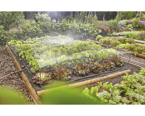 Gemüsegarten mit Bewässerungssystem für Pflanzen