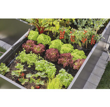 Bewässerungsset GARDENA Micro-Drip Start Set Hochbeet/Beet (für bis zu 35 Pflanzen)-thumb-5