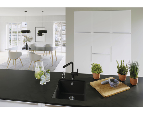 Moderne Küche mit Spüle, Armatur, Kräutern und Esstisch im Hintergrund