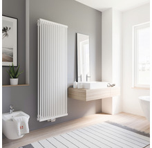 Helles Badezimmer mit Heizkörper, Waschtisch, Spiegel und Bidet