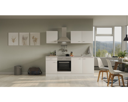 Flex Well Küchenzeile mit Geräten Wito 210 cm Frontfarbe | HORNBACH | Sockelblenden