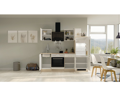 Moderne Einbauküche mit Elektrogeräten, Spüle, Arbeitsplatten und viel Stauraum in Schränken und Schubladen.