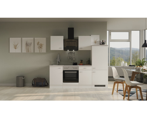 Flex Well Küchenzeile mit Geräten Wito 220 cm Frontfarbe | HORNBACH