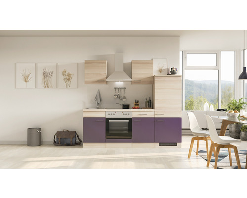 Flex Well Küchenzeile mit Geräten Focus 220 cm Frontfarbe akazie aubergine matt Korpusfarbe akazie zerlegt