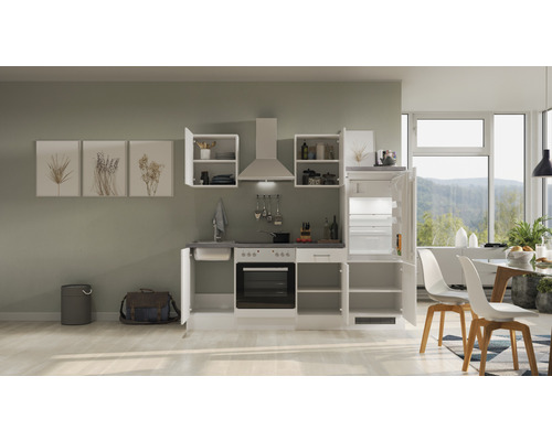 Moderne Einbauküche mit Spüle, Kochfeld, Backofen, Dunstabzugshaube und Kühlschrank