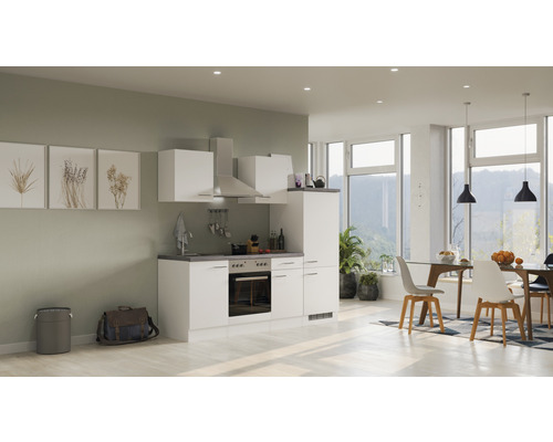 Flex Well Küchenzeile mit Geräten Varo 220 cm Frontfarbe | HORNBACH
