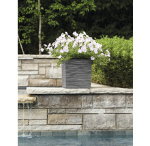 Quadratischer Pflanzkübel mit Blumen neben einem Pool.