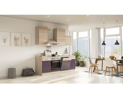 Flex Well Küchenzeile mit Geräten Focus 220 cm Frontfarbe | HORNBACH | Hängeschränke