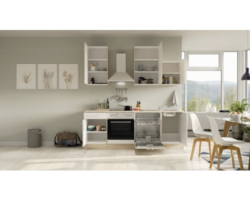 Küchenzeile mit Hängeschränken, Spüle, Geschirrspüler und Backofen in einem hellen Raum