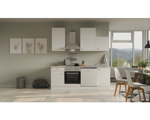 Flex Well Küchenzeile mit Geräten Wito 220 cm Frontfarbe weiß matt Korpusfarbe weiß zerlegt