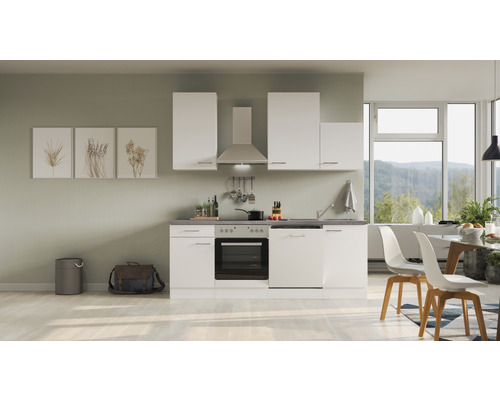 Flex Well Küchenzeile mit Geräten Varo 220 cm Frontfarbe weiß matt Korpusfarbe weiß zerlegt