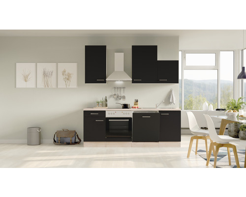 Flex Well Küchenzeile mit Geräten Santo 220 cm Frontfarbe | HORNBACH