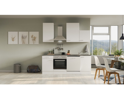 Flex Well Küchenzeile mit Geräten Lucca 220 cm Frontfarbe weiß matt Korpusfarbe weiß zerlegt