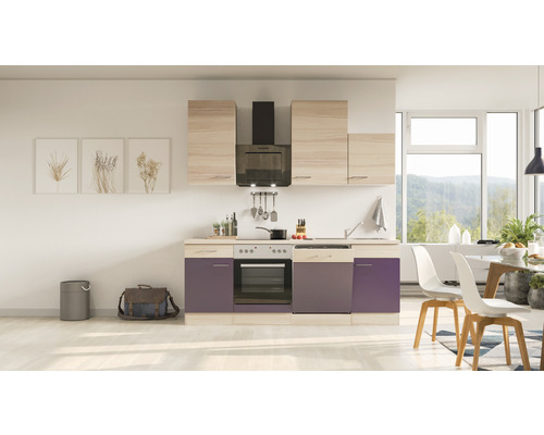 Flex Well Küchenzeile mit Geräten Focus 220 cm Frontfarbe akazie aubergine matt Korpusfarbe akazie zerlegt