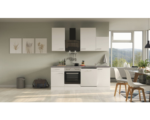 HORNBACH Korpusfarbe Küchenzeile bei weiß Flex Matt Geräten Well kaufen 220 mit weiß Frontfarbe cm Varo