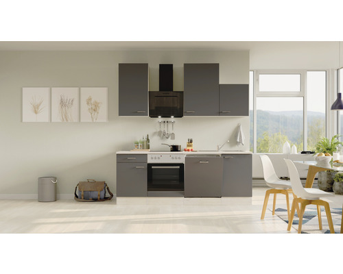 Flex Well Küchenzeile mit Geräten Tiago 220 cm Frontfarbe basaltgrau matt Korpusfarbe san remo eiche hell zerlegt