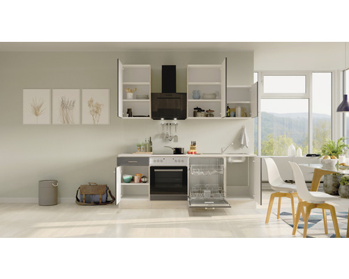 Moderne Küche mit Spülmaschine, Herd, Dunstabzugshaube und Hängeschränken.