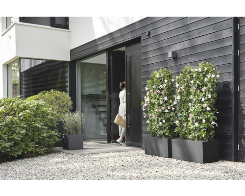 Eingangsbereich eines Hauses mit Pflanzenkübeln und Kiesweg