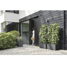 Außenaufnahme eines Hauses mit Pflanzenkübeln und einer Frau, die eine Tür betritt.