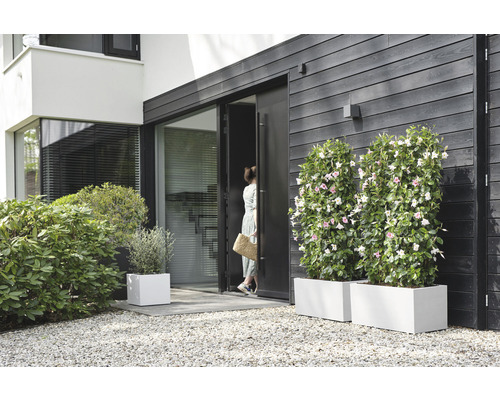 Außenansicht eines modernen Hauses mit Pflanzenkübeln und Frau an der Tür