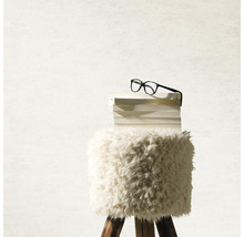 Dekorativer Hocker mit Fellbezug, Buchstapel und Brille