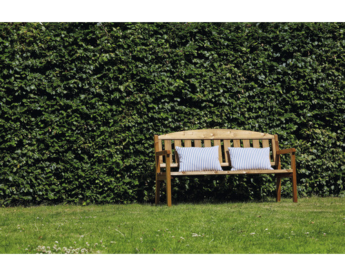 Holzbank mit Kissen vor grüner Hecke im Garten