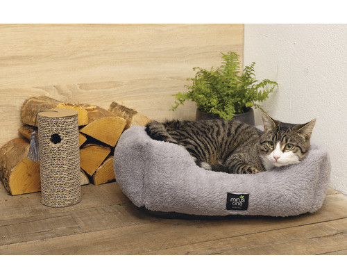Katze liegt in einem grauen Katzenbett neben einem Kratzbaum.