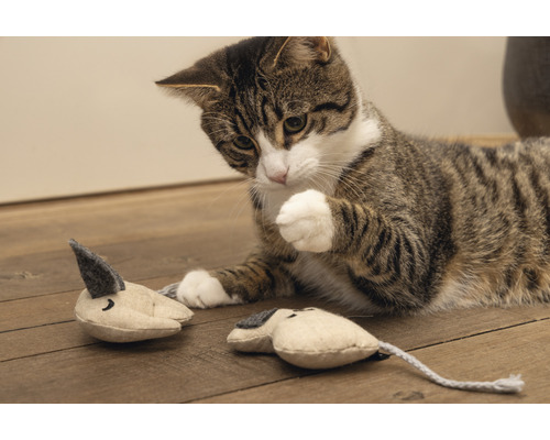 Getigerte Katze spielt mit Katzenspielzeugmäusen auf Holzboden