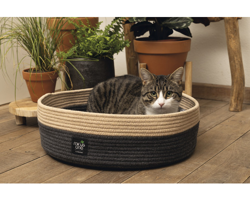Katze in einem runden Katzenbett mit Minus One Logo