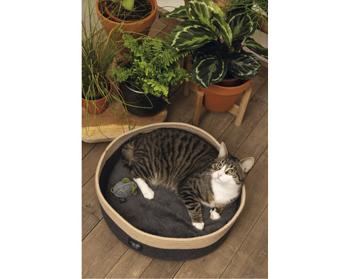Getigerte Katze liegt in einem runden Katzenbett aus Seil mit einem Spielzeug