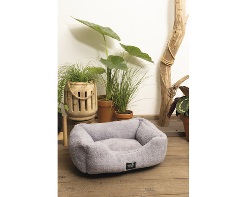 Weiches Hundebett umgeben von Zimmerpflanzen