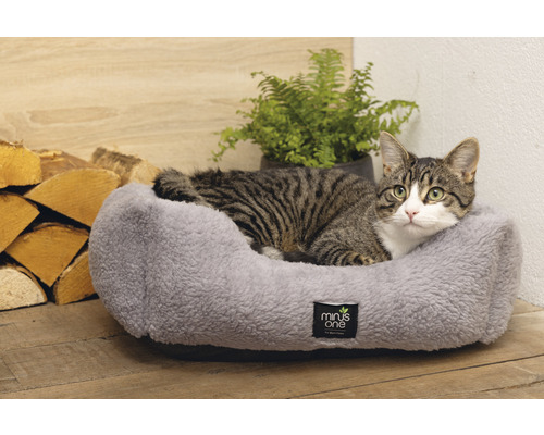 Katze liegt in einem grauen Katzenbett neben einem Holzstapel und einer Pflanze