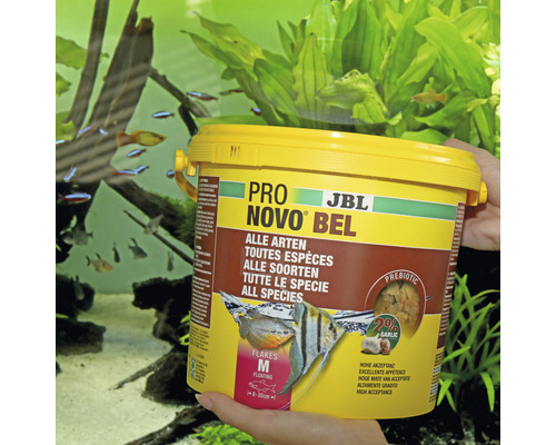 JBL Pro Novo Bel Fischfutter für alle Arten in gelber Verpackung vor einem Aquarium