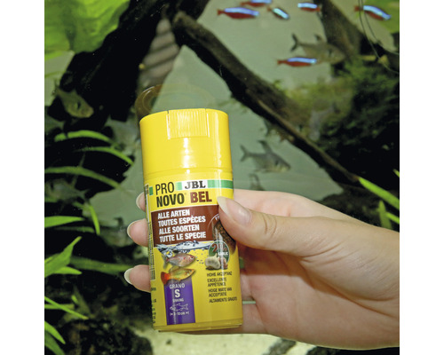 JBL NovoBel Fischfutter Dose in der Hand vor Aquarium
