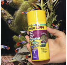 Granulatfutter JBL PRONOVO GUPPY GRANO Gr. S 250 ml
