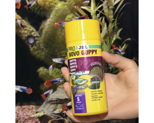 JBL Novo Guppy Fischfutter im Behälter