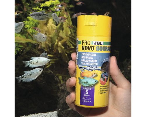 JBL Pro Novo Gourami Fischfutterdose vor Aquarium