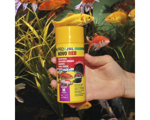 JBL Novo Red Goldfischfutter im Behälter vor Aquarium