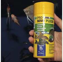 JBL Novo Pleco Wafers XL Fischfutter für Welse