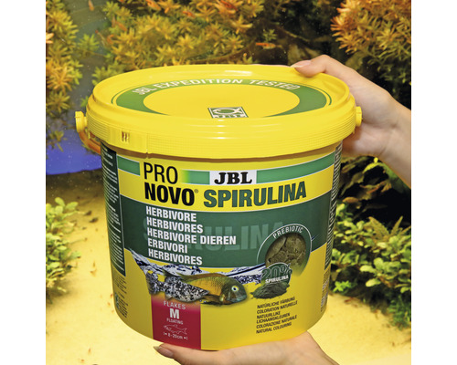 JBL Pro Novo Spirulina Fischfutter für pflanzenfressende Fische