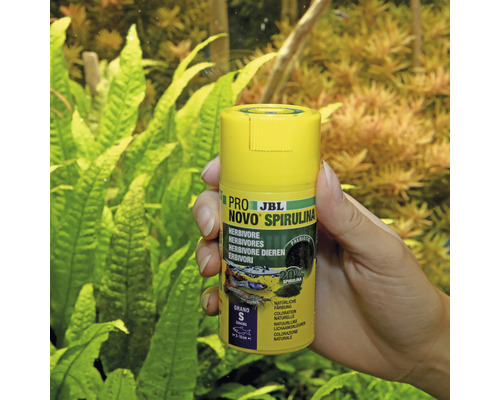 JBL Pro Novo Spirulina Fischfutter für pflanzenfressende Zierfische