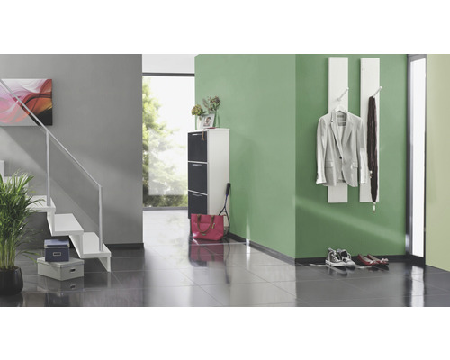 Flur mit Treppe, Schuhschrank und Garderobe