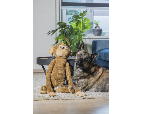 Hund und Plüschtieraffe sitzen auf einem Teppich in einem Wohnzimmer.