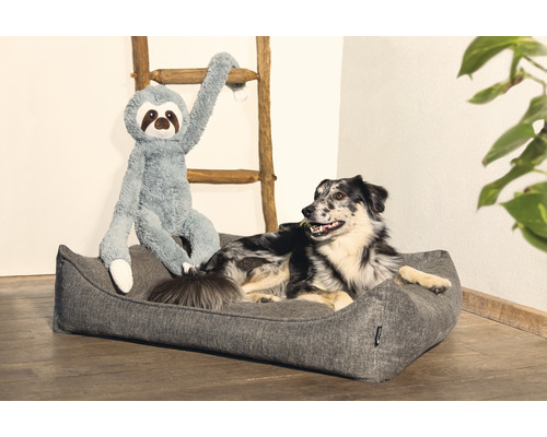 Hund im Hundebett mit Faultier Plüschtier