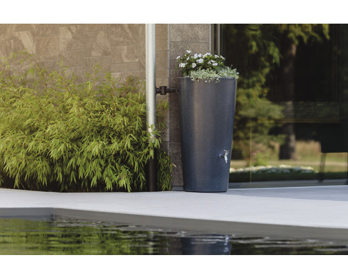 Regenspeicher mit Bepflanzung neben einem Fallrohr an einer Hauswand