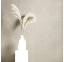 Vliestapete 520248 Concrete effekt-optik glitzer beige