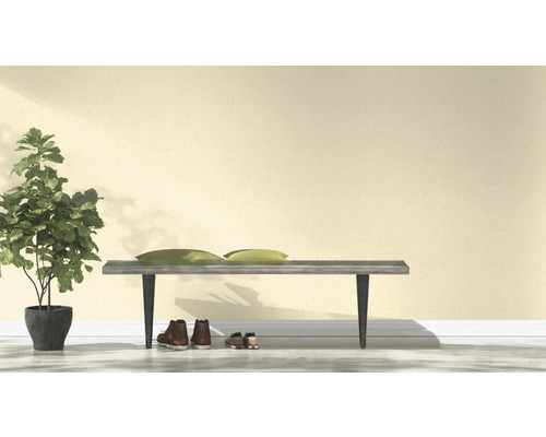 Szene mit Bank, Kissen, Schuhen und Zimmerpflanze im Topf