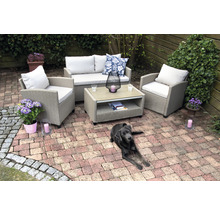 Gartenmöbel-Set aus Rattan mit Sofa, Sessel, Tisch und Hund auf einer Terrasse