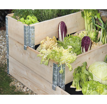 Hochbeet aus Holz mit verschiedenen Gemüsesorten